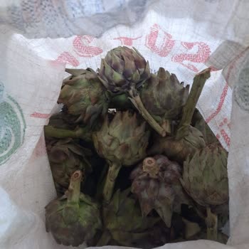 Enginar Mevsimi Resimleriyle Hiçbir Alakası Olmayan Ürün Gönderdiler