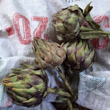 Enginar Mevsimi Resimleriyle Hiçbir Alakası Olmayan Ürün Gönderdiler