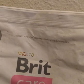 Trendyol Aracılığıyla Petmelek Firmasından Aldığım Kedi Maması STT Sorunu