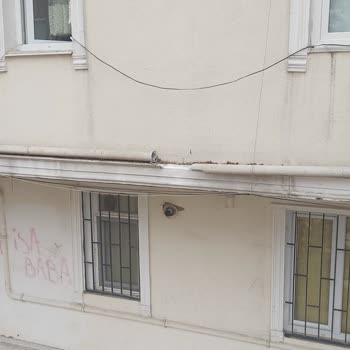 Ormanlı Yıkım Bina Yıkımında Zarar