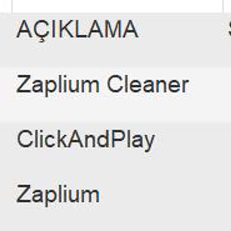 Vizyon Elektronik Para Ücret İadesi