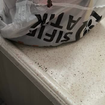 Migros Kurye Ve Ürün Faciası