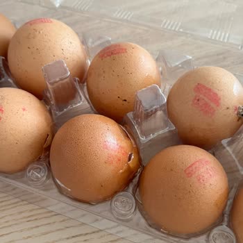 Getir İade Yapmaması Ve Rezil Teslimatlar