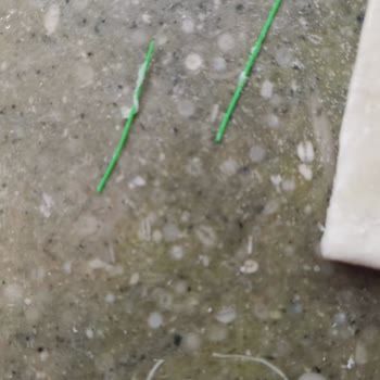 Şok Marketler Marketten Alınan Milföy Hamurunda Plastik Parça Şikayeti