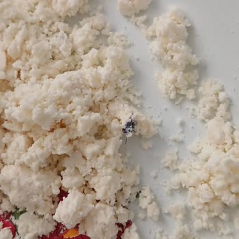 A101 Peynirinin İçinden Sinek Çıktı