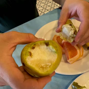 Amara Family Resort Amara Resort Otel