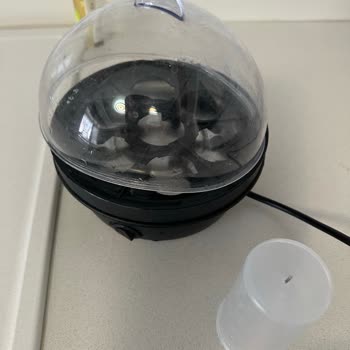 Bernardo Ücret İadesi!