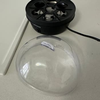 Bernardo Ücret İadesi!