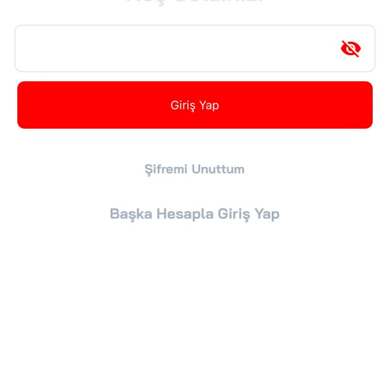 Payfix Hesabıma Giremiyorum Destek