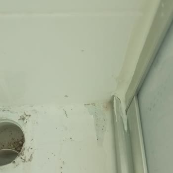 Bianca Boya Stella Su Bazlı Boya İle Yaşadığım Sorunlar!