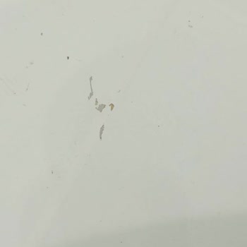 Bianca Boya Stella Su Bazlı Boya İle Yaşadığım Sorunlar!