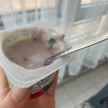 Sütaş Meyveli Yoğurt Küf Sorunu