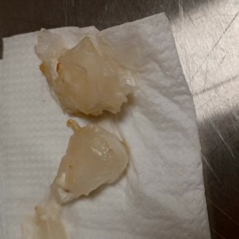 Burger King Burger Bu Ne