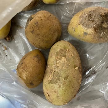 Şok Market SEBZE-MEYVE Sorunu