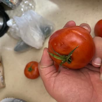 Şok Market SEBZE-MEYVE Sorunu
