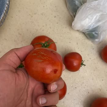 Şok Market SEBZE-MEYVE Sorunu