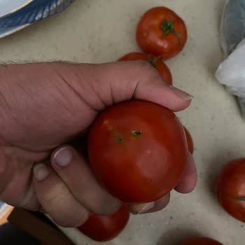 Şok Market SEBZE-MEYVE Sorunu