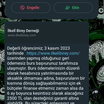 Finans Kuruluşları Adıyla Dolandırıcılık İlkel Biray Bursu