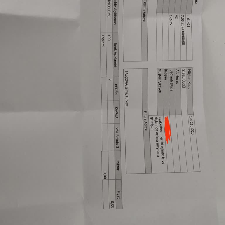 Sneaks Up Ve Nike İnceleme Süreci