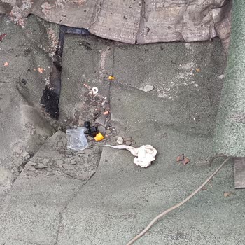 Vestel Markası Yüzünden Oluşan Bir Mağduriyet Daha