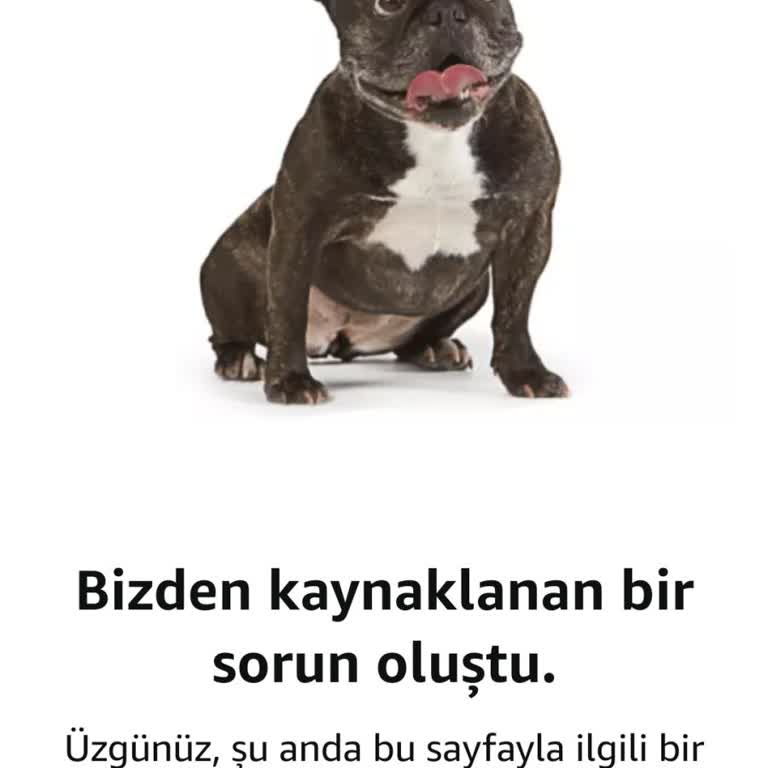 Amazon Uygulaması Hakkında, Asla Düzelmiyor