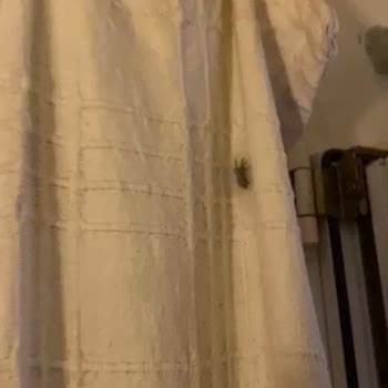 The Hotel 48 Böcekli Ekonomik Oda Fiyatı 1.763,99 TL