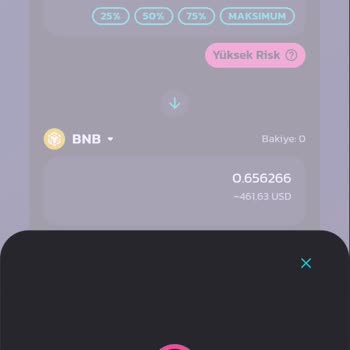 Pancakeswap'ta Sahte Coin Satımı