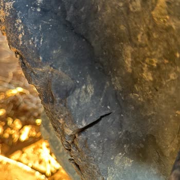 Erkunt Traktör Petlas 131 Saatteki Sıfır Traktörüne Taktığı Lastiğinin Arkasında