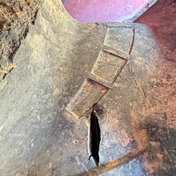 Erkunt Traktör Petlas 131 Saatteki Sıfır Traktörüne Taktığı Lastiğinin Arkasında