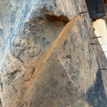 Erkunt Traktör Petlas 131 Saatteki Sıfır Traktörüne Taktığı Lastiğinin Arkasında