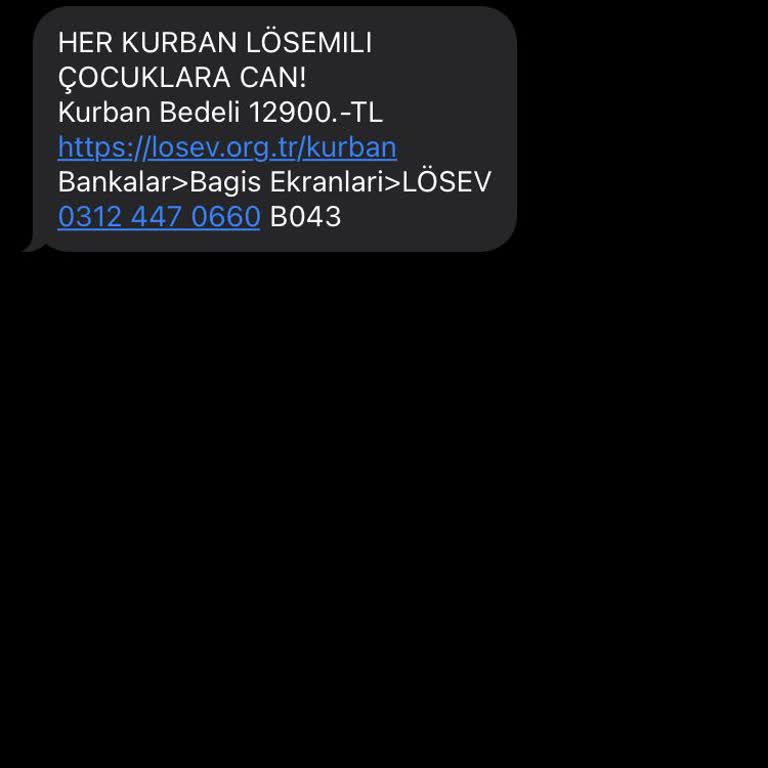 LÖSEV İn Mesaj Larından Bıktım Artık