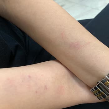 Enginev Mobilya Mobilya Darıca Şubesinde Darp Edildik