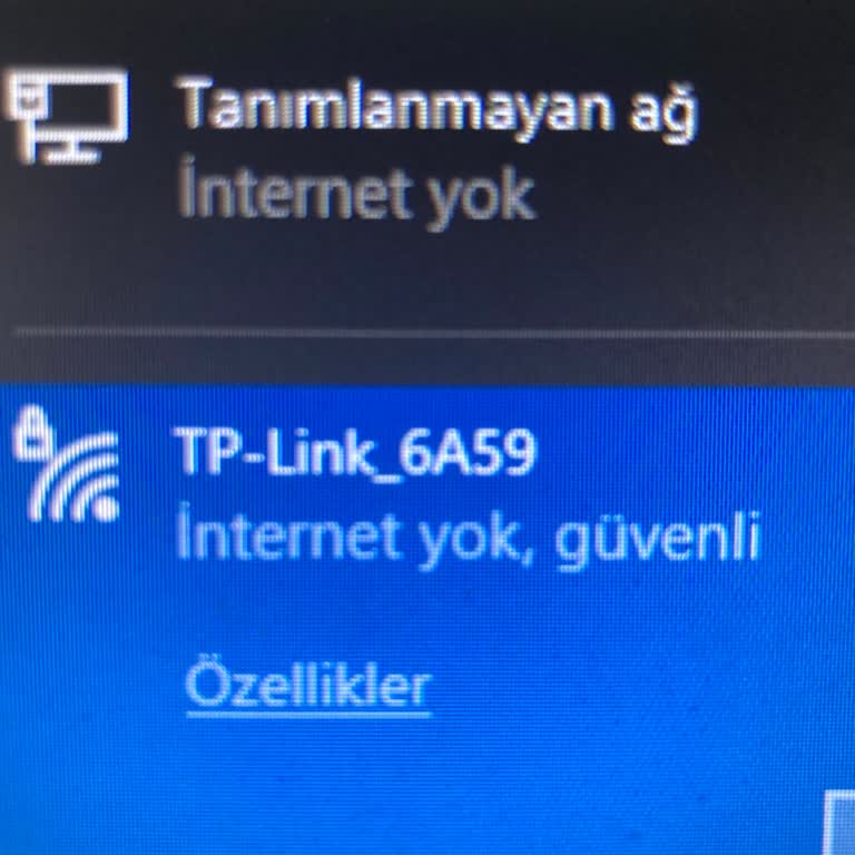 Batı Ege Bilişim Servis Sorunu