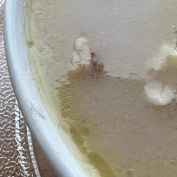 Zelkemiksuyu.com Kıl Dolu Çorba