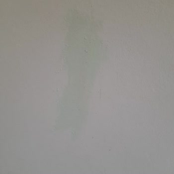 Marshall Büyükkapı Mağazası Yanlış Renk Ve Eksik Boya