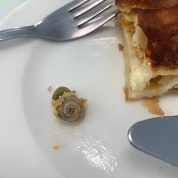 ISS Türkiye Yemeğin İçinden Böcek Çıktı