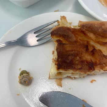 ISS Türkiye Yemeğin İçinden Böcek Çıktı