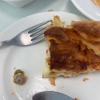 ISS Türkiye Yemeğin İçinden Böcek Çıktı