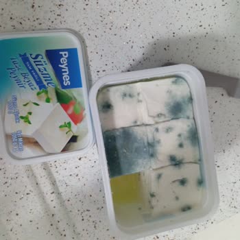 A101 Peynes Peynir Küflü Ürün Satıyor