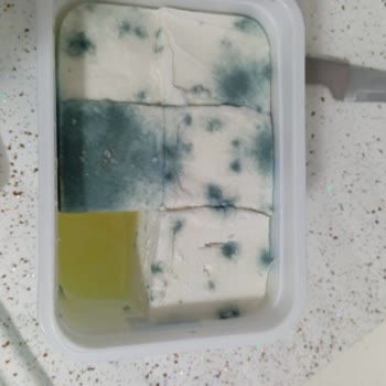 A101 Peynes Peynir Küflü Ürün Satıyor