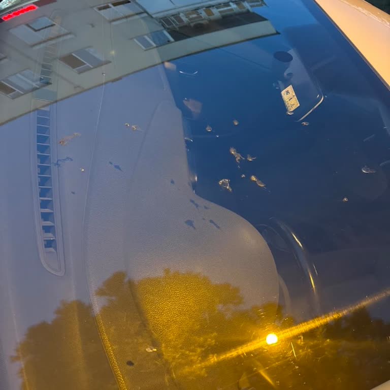 Capacity AVM Capacity Würth Oto Yıkama