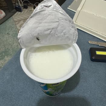 Sütaş Ayran Kapalı Ayran İçinde Sinek Çıktı