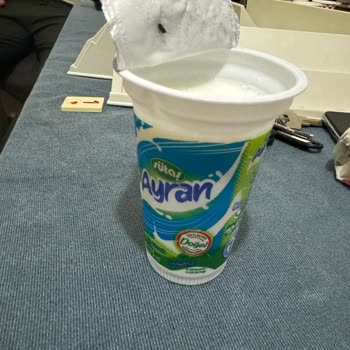 Sütaş Ayran Kapalı Ayran İçinde Sinek Çıktı