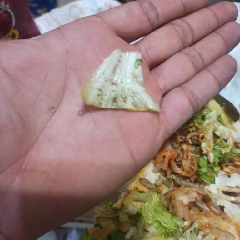 Paşa Döner Cam Ve Çamur