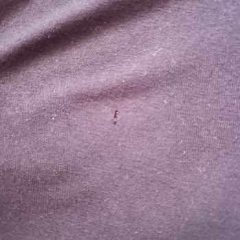 Vestel Çamaşır Makinem Çamaşırları Deliyor Ve Yırtıyor