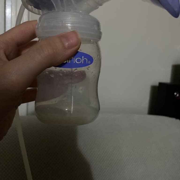 Lansinoh Süt Sağma Makinesi Sağmıyor