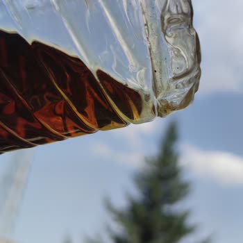 Çiçek Sepeti Oil Company Adlı Satıcının Satmış Olduğu Motor Yağının Durumu