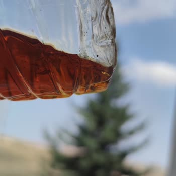 Çiçek Sepeti Oil Company Adlı Satıcının Satmış Olduğu Motor Yağının Durumu