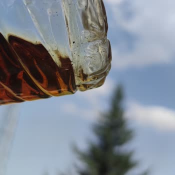 Çiçek Sepeti Oil Company Adlı Satıcının Satmış Olduğu Motor Yağının Durumu