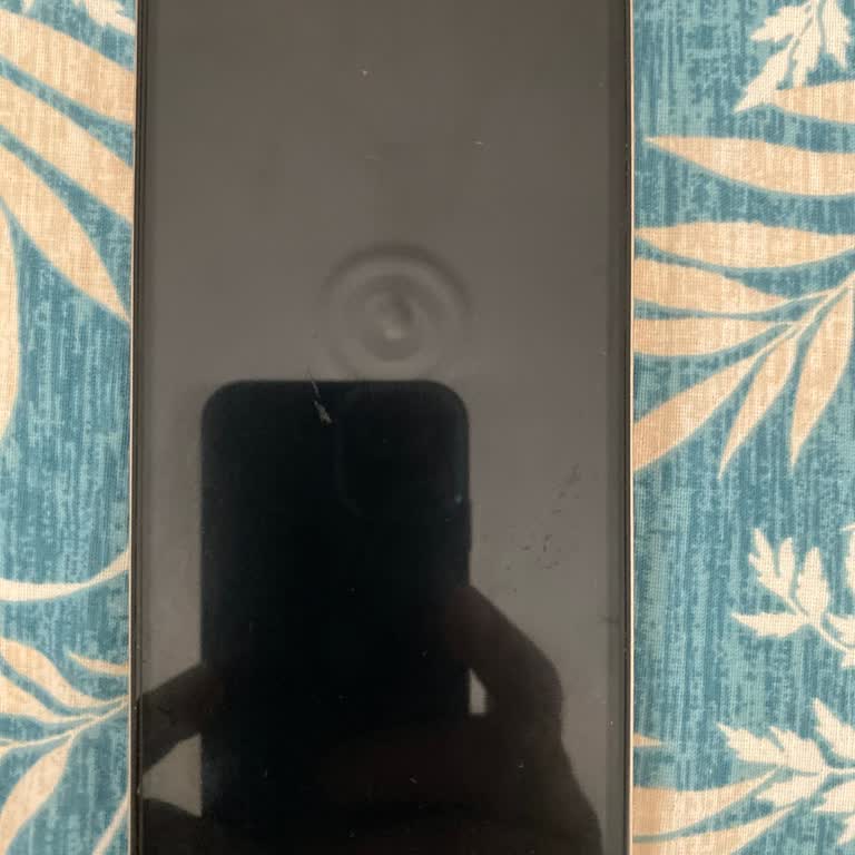 Reeder S19 Max Pro Kapanıyor